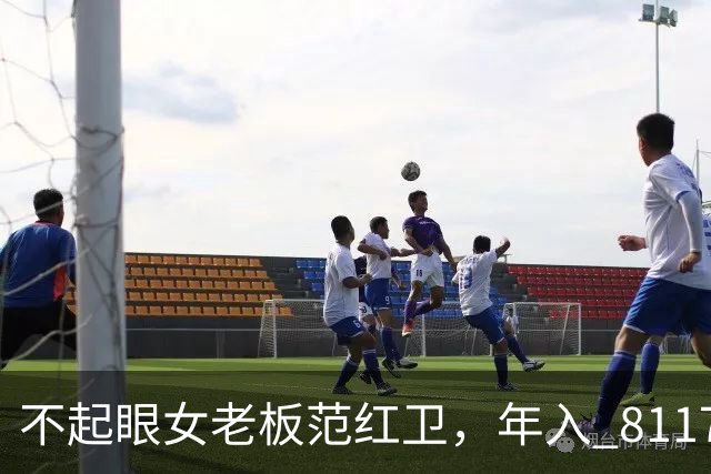 不起眼女老板范红卫，年入 8117 亿力压华为，坐稳民企第三靠什么