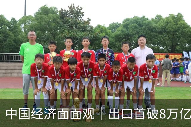 中国经济面面观｜出口首破8万亿：“新”字挑大梁