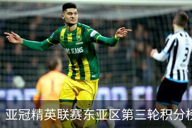 亚冠精英联赛东亚区第三轮积分榜：国安不败位列第五，海港第八