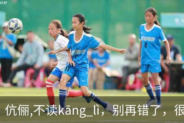 伉俪,不读kāng lì，别再错了，很丢人!