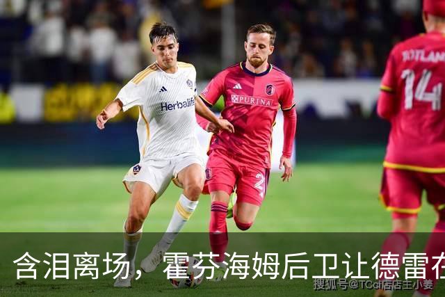 含泪离场，霍芬海姆后卫让德雷在一次对抗中伤到脚踝伤退