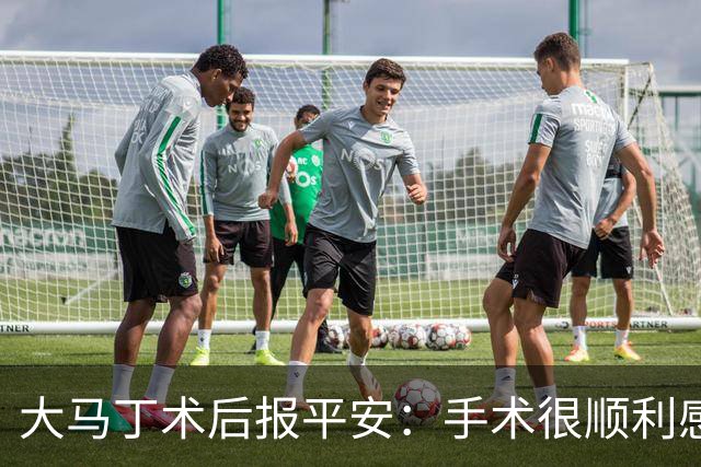 大马丁术后报平安：手术很顺利感谢大家，几周后我就会回来