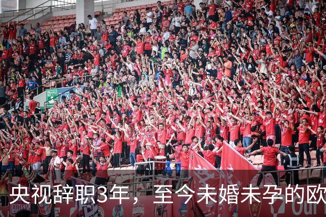 央视辞职3年，至今未婚未孕的欧阳夏丹，早已走上了另一条大道