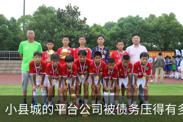 小县城的平台公司被债务压得有多惨？