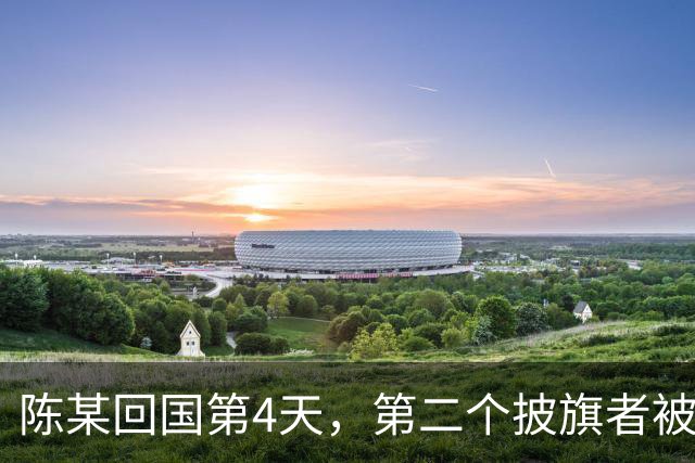 陈某回国第4天，第二个披旗者被揪了出来，现形后想销号跑路
